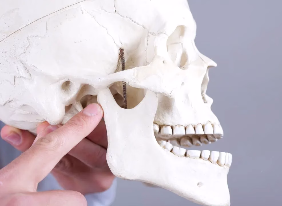 Doctor muestra la zona de problema en el trastorno temporomandibular